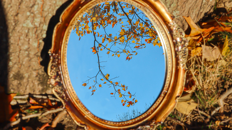 A vintage mirror set outside against a tree, facing up angled at a blue sky and fall leaves still on the tree