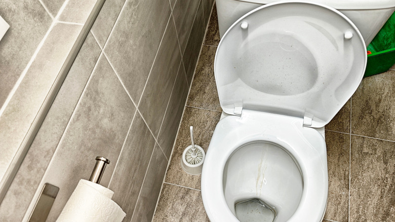 Toilet in a tiled bathroom