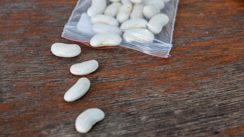White bean seeds on a wood table
