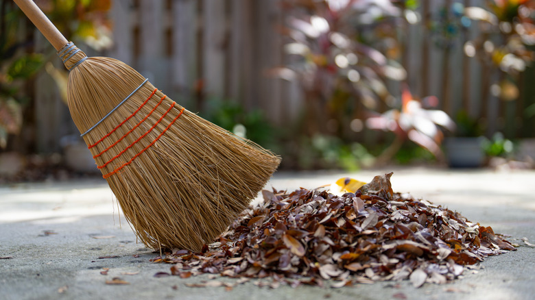 broom with straw fibers being used to sweep dry leaves in a yard