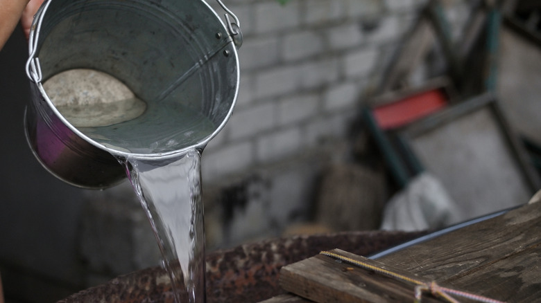 person pouring water from galvanized metal bucket