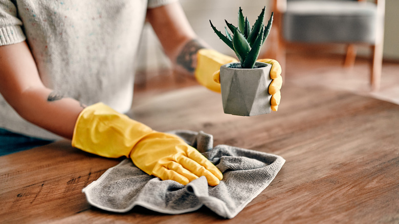 Woman dusting under plant pot