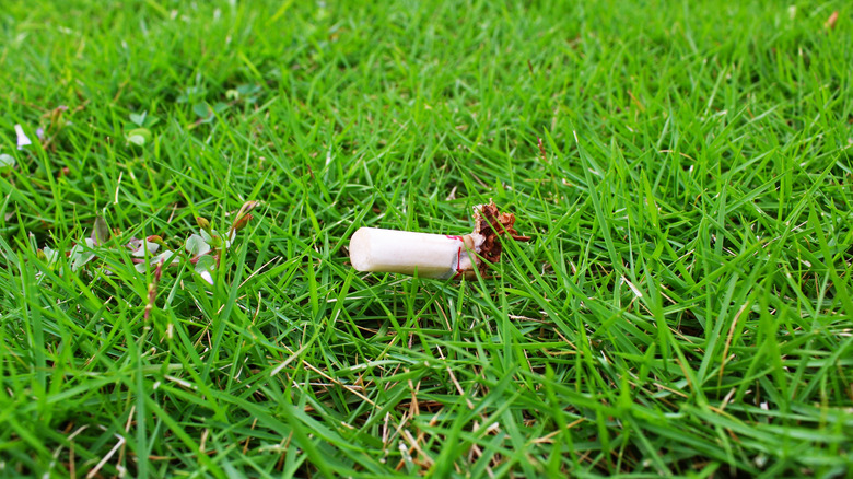 Cigarette butt on lawn
