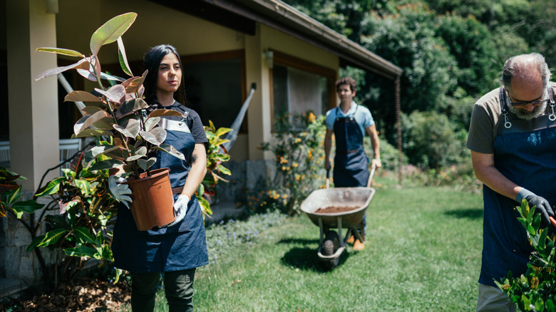 A group of landscapers working on different tasks in a garden
