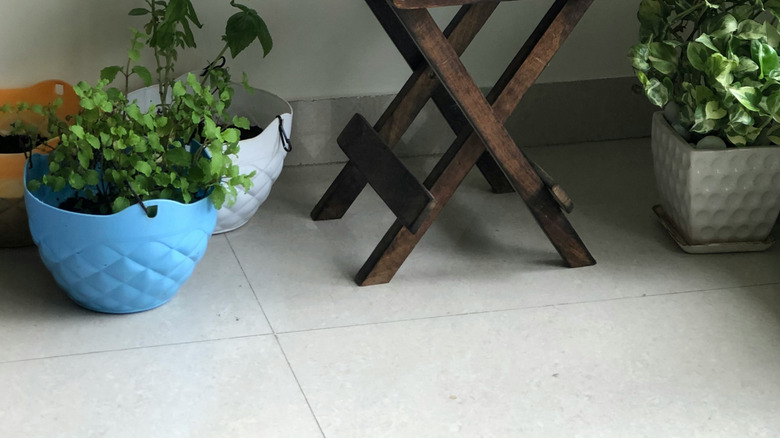 two plants on wood plant stand with other indoor plants nearby