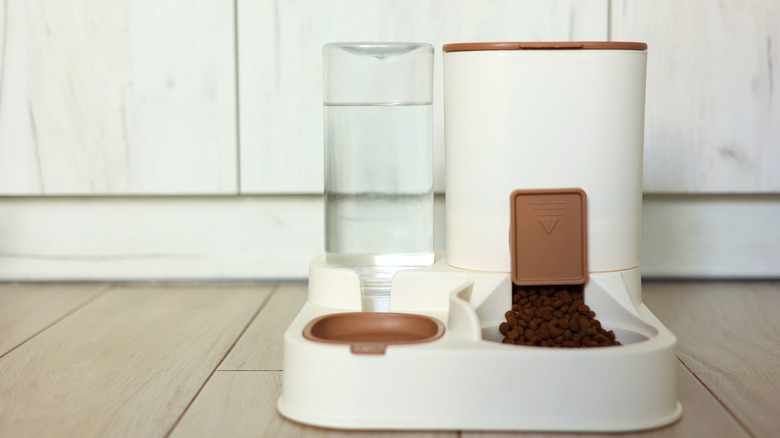 Pet feeding station with automatic kibble and water dispensers