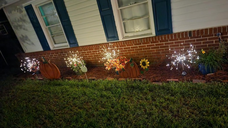 Gigalumi's Solar Firework Lights in a garden border