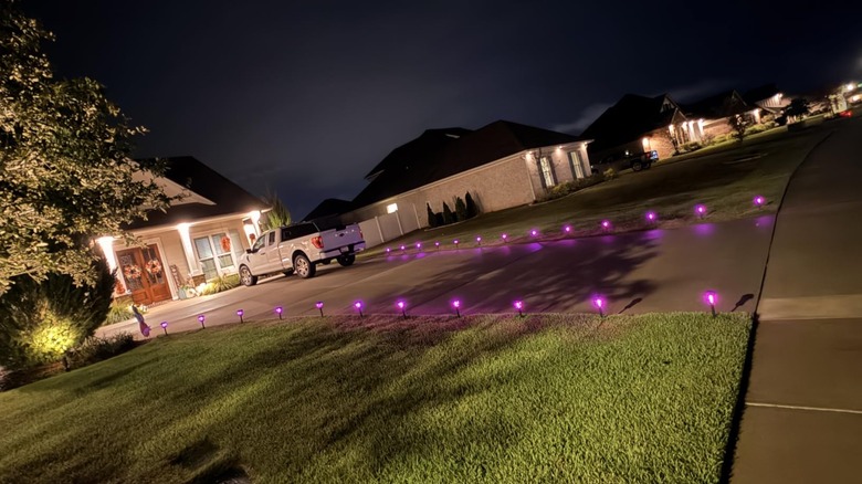 Greluna's Solar Pathway Lights in purple along the edge of driveway