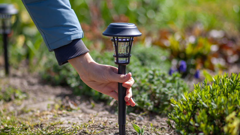 A gardener installing a solar powered stake-light in the ground