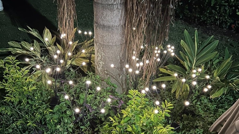 ASMAD's Solar Firefly Lights at the base of a tree and surrounded by plants
