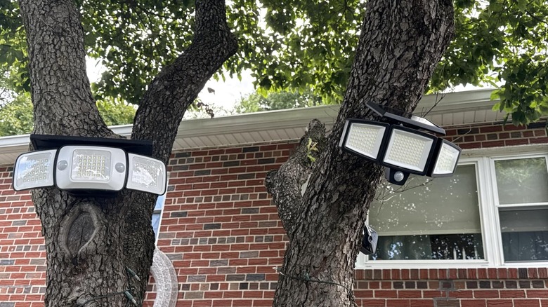 Tuffenough's LED Solar Security Lights installed on trees in a yard