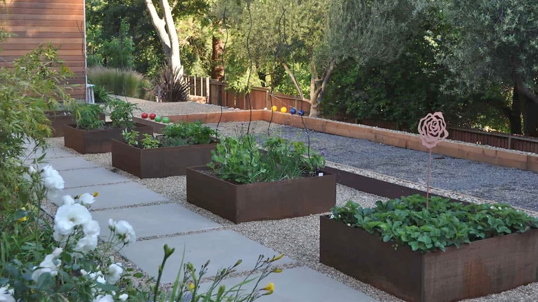 a series of darkly stained wood container gardens
