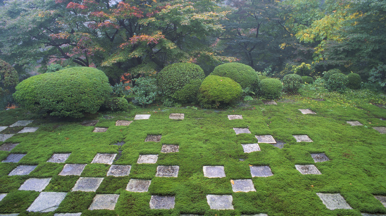 checkered pattern with moss and stepping stones