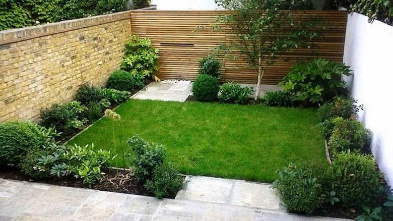 a square patch of grass in a small rectangular backyard