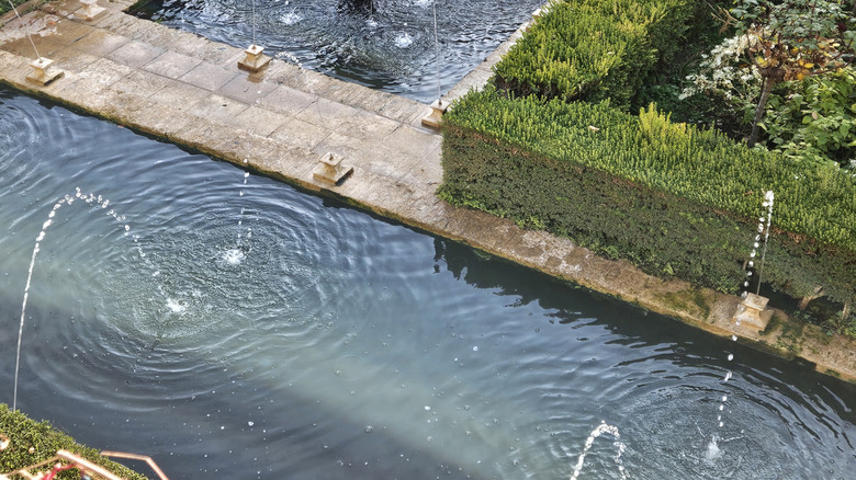 A square garden pond with fountains and hedges