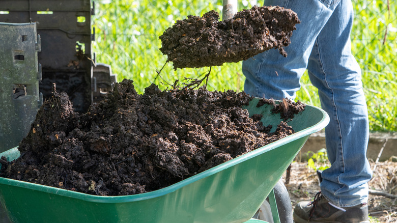 A person scooping compost out of a green wheelbarrow