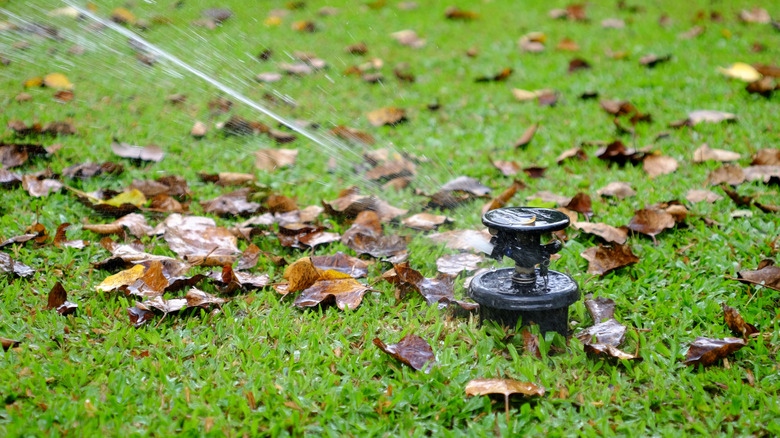 A sprinkler watering a yard in the fall
