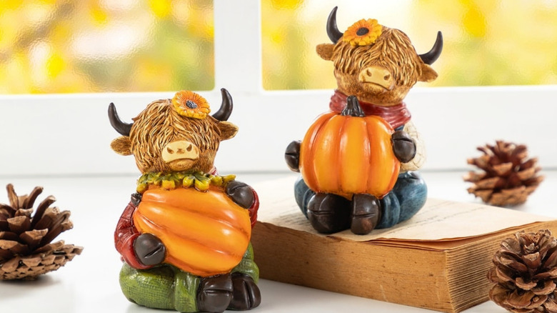 Highland cowns holding pumpkins on a windowsill with books and pinecones also in the image