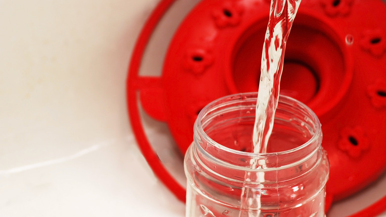 A disassembled hummingbird feeder being cleaned in the sink
