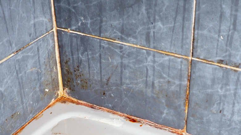 dirty bathroom grout