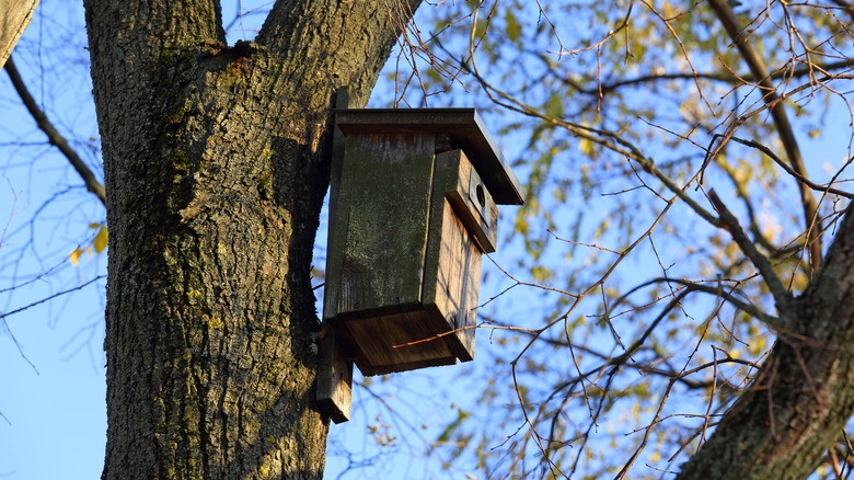 DIY birdhouse mad out of scrap wood