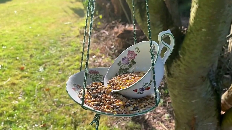 DIY teacup and saucer bird feeder