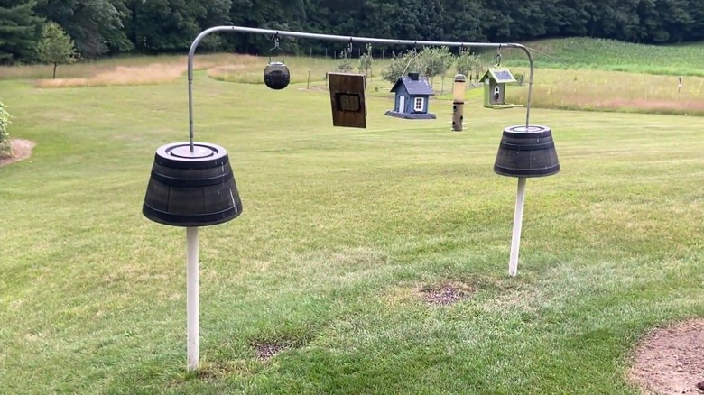 DIY squirrel baffle made with plastic barrels