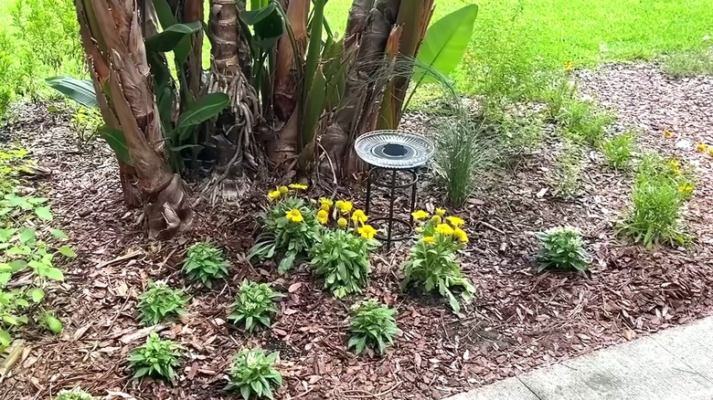 DIY plant stand birdbath