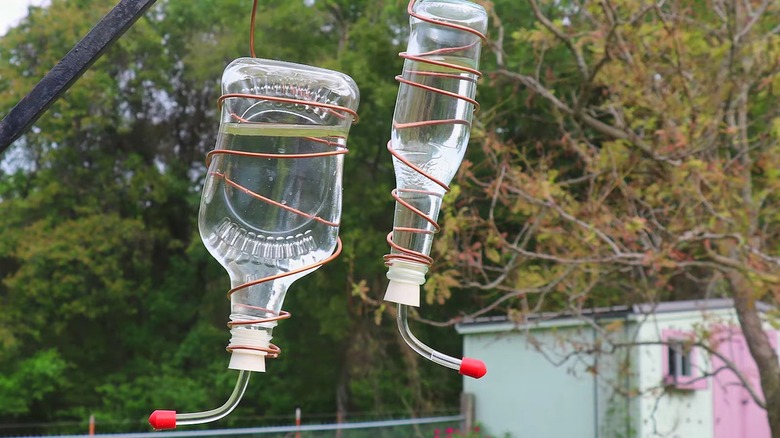 DIY hummingbird feeder made out of glass bottles