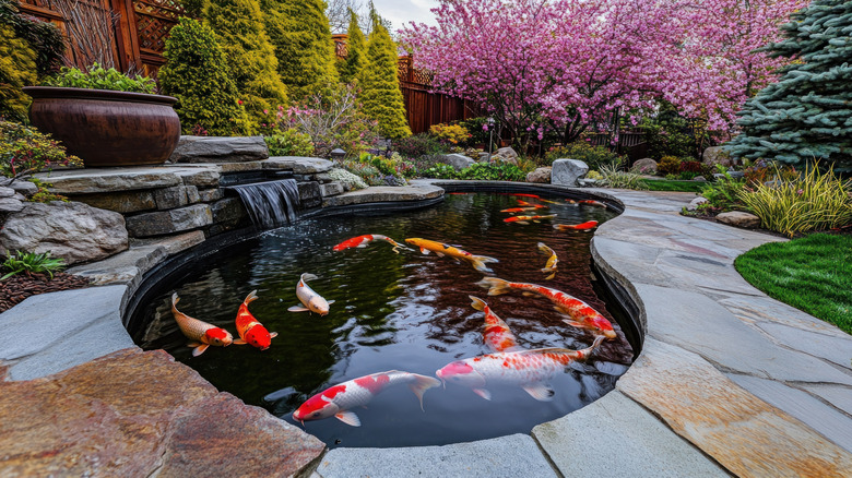 A pond surrounded by rocks with orange and white koi fish swimming around inside