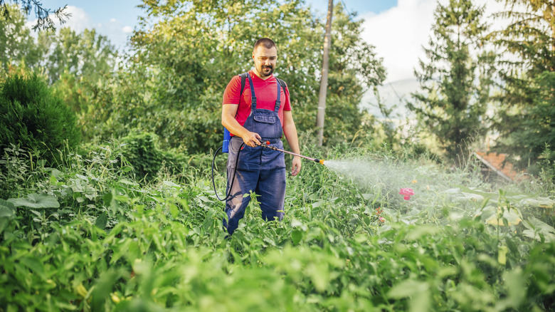 A man using a pesticide spray in a yard