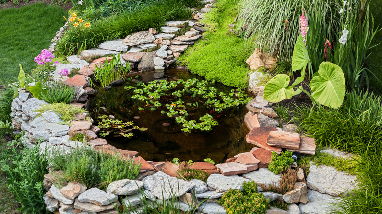 A pond surrounded by rocks and greenery on a lawn