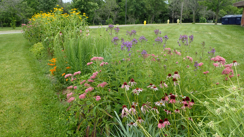 A strip of wildflower plantings connects creates a wildlife corridor for insects