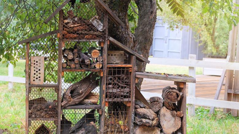 A bug hotel is inviting to ladybugs and other beneficial insects
