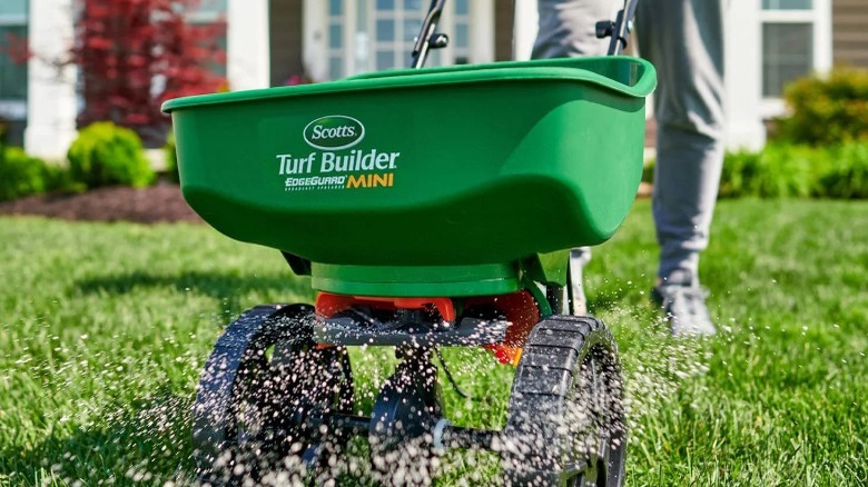 person spreading fertilizer over lawn