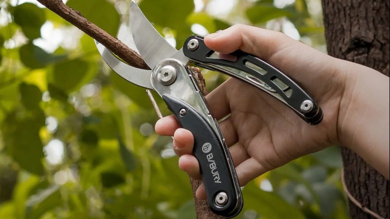 hand trimming tree branch