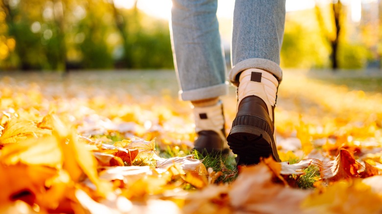 Person walking through fallen leaves in autumn