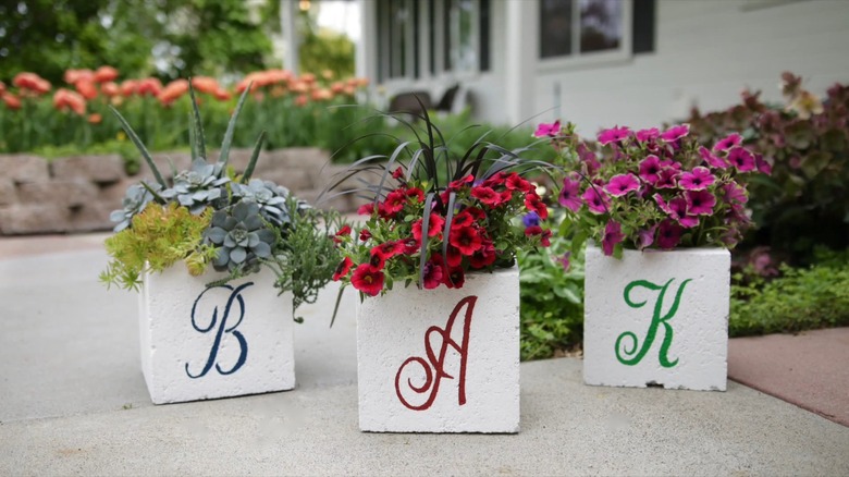 plants in cinder block planters