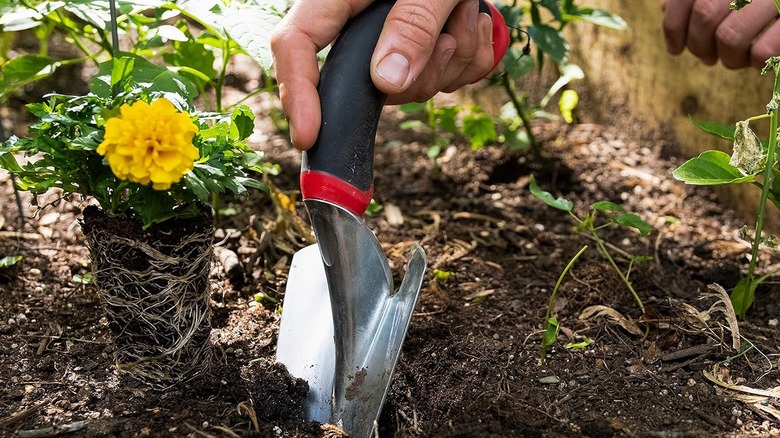 A person uses a Radius Garden Ergonomic Aluminum Hand Trowel to dig a hole for planting a flower