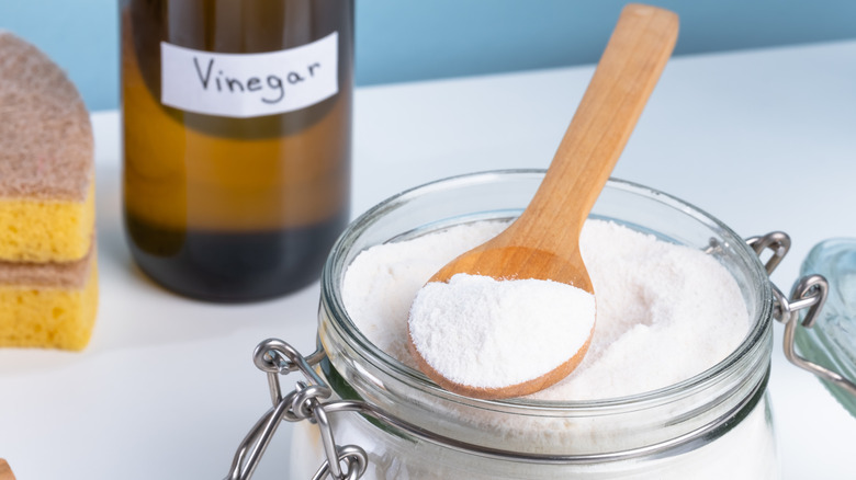 A bottle of vinegar alongside a jar of baking soda
