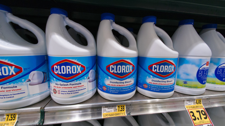 Bottles of Clorox on a store shelf