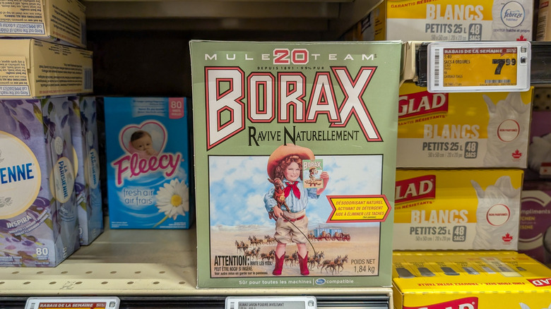 Box of Borax on a store shelf
