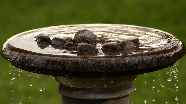 A bird bath with stones added to the basin for perching