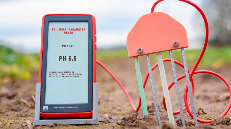 A soil meter conducting a pH test