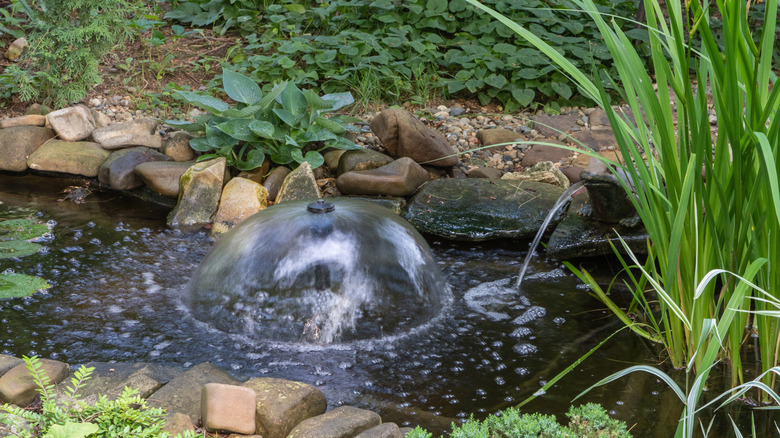 Close-up of a small pond with a fountain and nearby plants