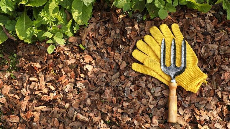 A pair of yellowing gardening gloves and a hand fork laying on mulch