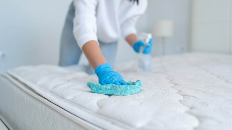 Gloved hands cleaning a mattress with a spray bottle and cloth