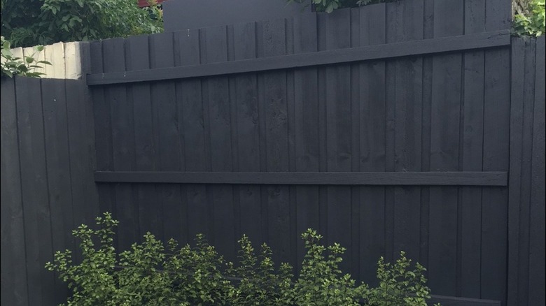 A wooden fence in a backyard painted in charcoal exterior paint.