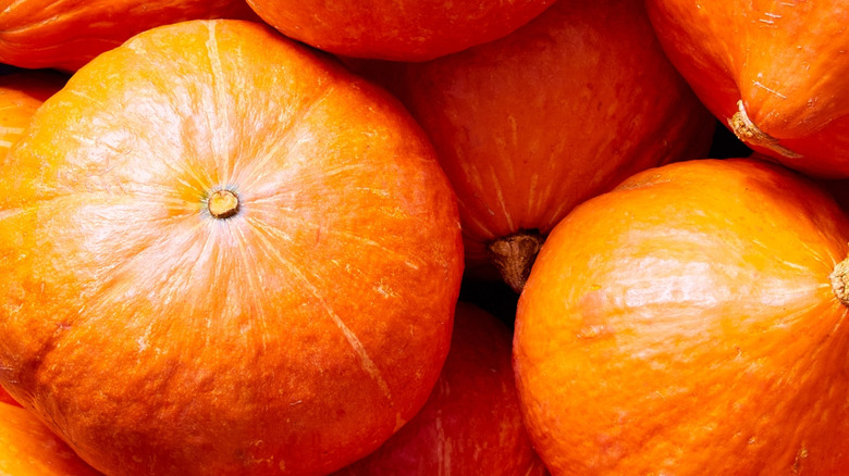 A group of 'Gold Nugget' squash