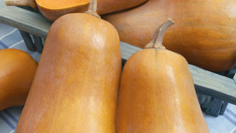 Several ripe 'Honeybaby' squash sitting on a table